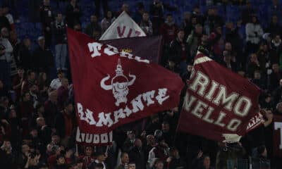 Tifosi del Torino (© Depositphotos)